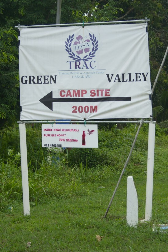 A honey of a campsite at Green Valley.