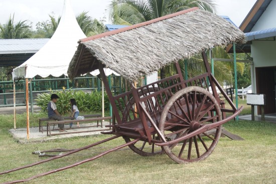 Your traditional chariot awaits.