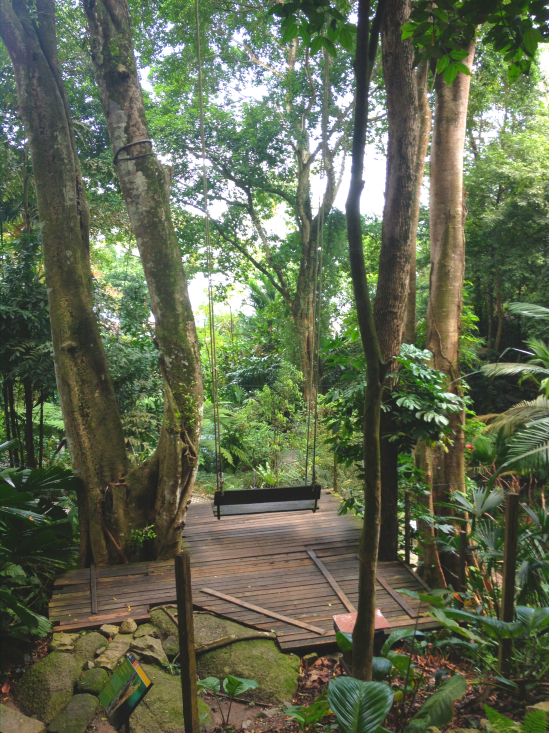 Become a swinger on the wonderful jungle swing.