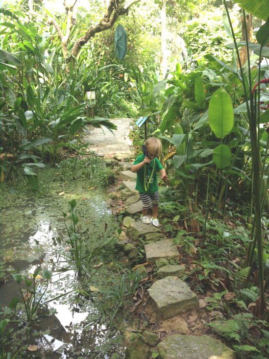 Take wagers on losing a little one across the stepping stones.