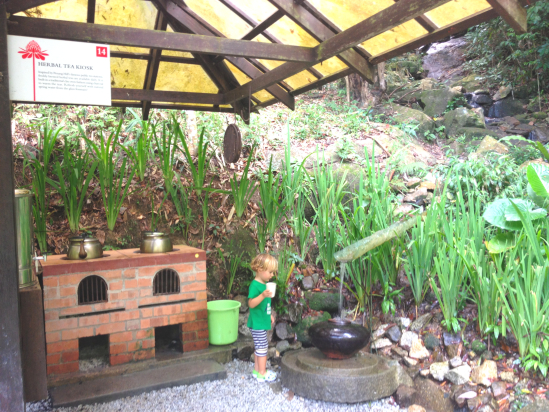 Help yourself to a herbal brew or fresh spring water at the tea kiosk.