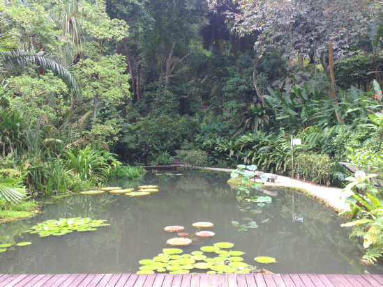 First gorgeous vista of the Tropical Spice Garden, the giant water lilies and lotus flowers.