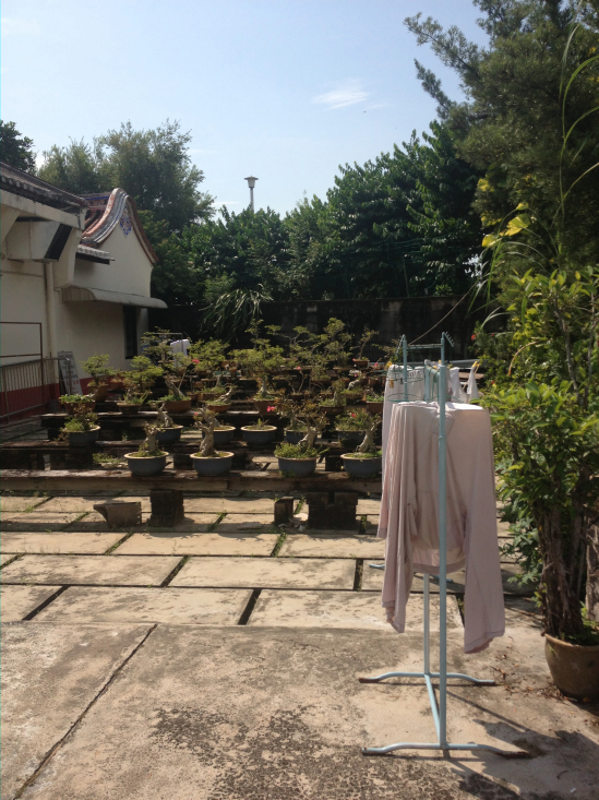 Monks' laundry hanging out to dry in the sunny back courtyard.