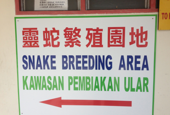The poor snakes must overcome the embarassment of having their love nest exposed.