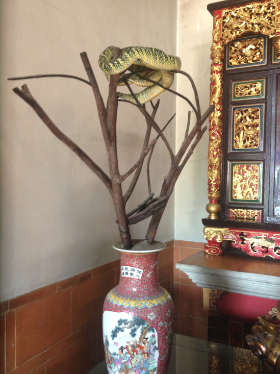 A soporific snake takes a nap on an altar vase.