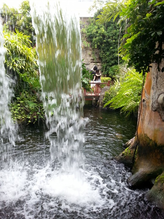 Get back to nature with the indoor rainforest.