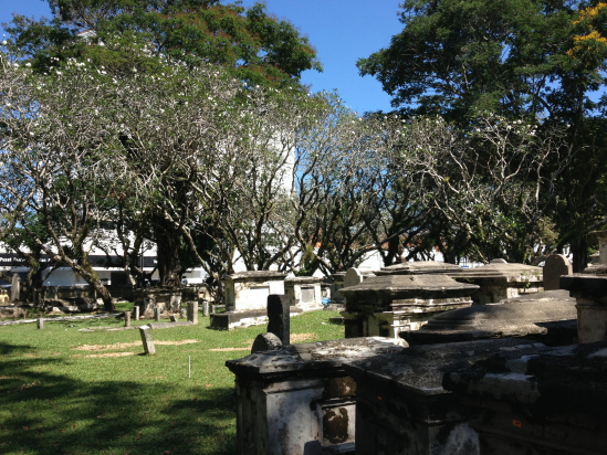 Jumbles of graves beneath the frangipani trees at the Protestant cemetery.