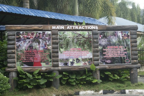The sneak peek welcome sign.