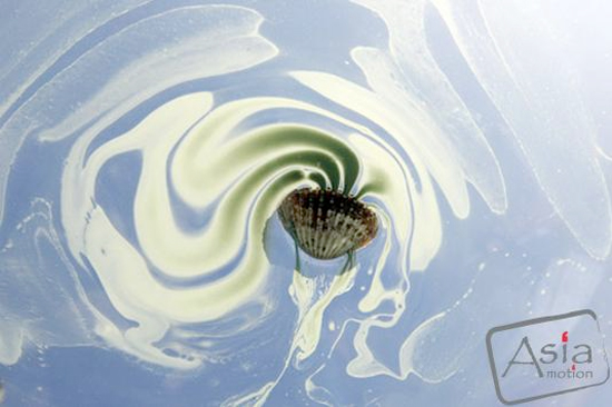 Photographs that could be paintings