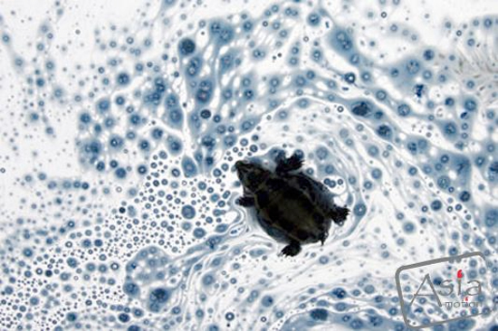 Intended to promote our awareness of the fragile world around us