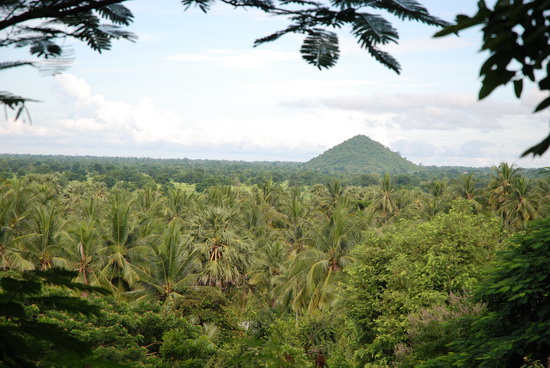 Another view
