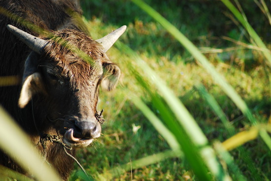 You never know who you might meet off the beaten track