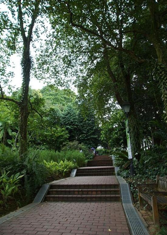 Lush Fort Canning Park overlooks central Singapore.