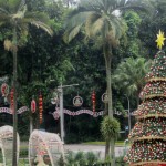 It's beginning to look a lot like Christmas (in the tropics).