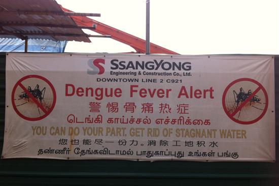 Despite the government's best efforts, Singapore is not mosquito free.