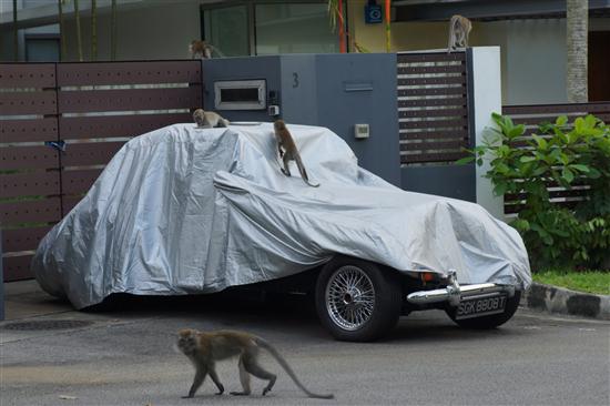 "Of course that's our car"