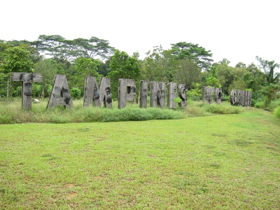 Tampines Eco Green - wilderness in the midst of civilisation.