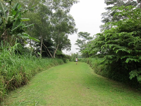 The park is popular with both fauna and joggers alike.