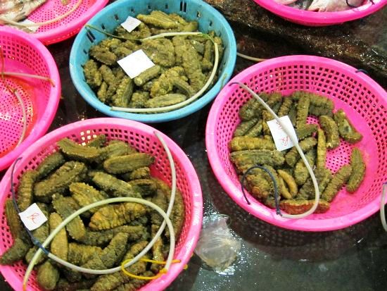 Besides fish, you can get sea cucumbers, sharks, and other edible sea creatures. Besides fish, you can get sea cucumbers, sharks, and other edible sea creatures.
