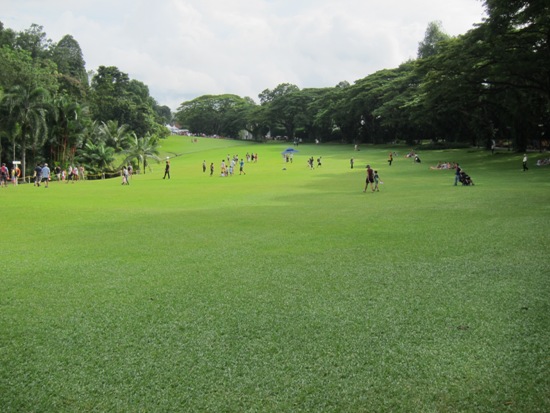 The lush greenery that is part of the Istana - right in central Singapore!