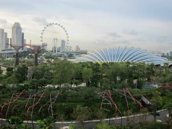 A sea of green in downtown Singapore. A sea of green in downtown Singapore.