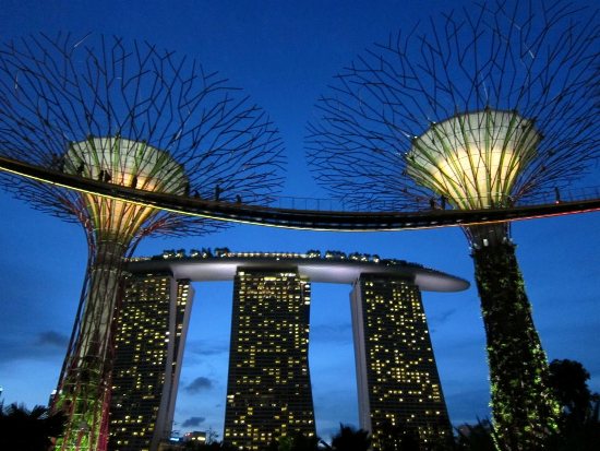 The OCBC Skyway offers a stunning view at dusk.