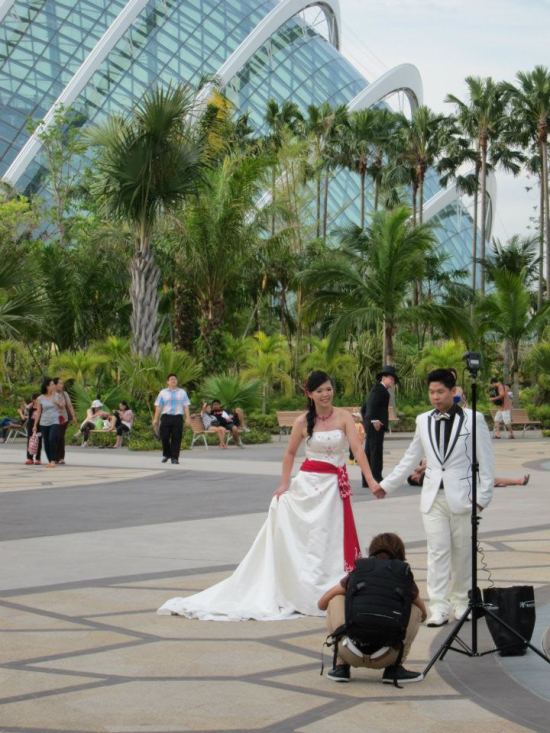 Everyone wants a piece of the Gardens by the Bay.