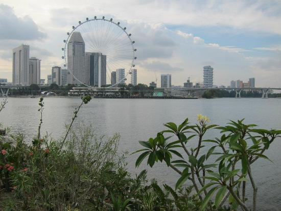 From the Gardens, you can get great shots of the Singapore skyline.