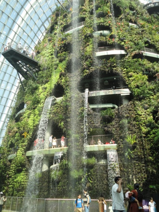 The world's tallest indoor waterfall in the Cloud Forest enclosure. Close your eyes, and its sounds will take you to Brazil, or a lush African jungle.