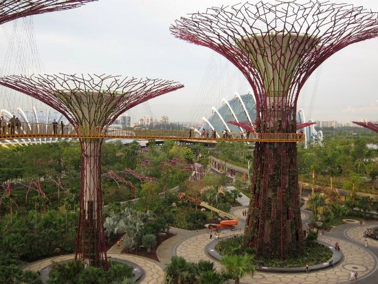 The sParks app is a good guide to many of the parks found in Singapore. Even if the only park you visit is Gardens by the Bay, download it - it's free.