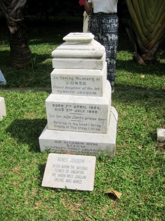 Singapore owes its national flower to Ms Ashkhen Hovakimian, otherwise known as Agnes Joaquim, a horticulturist.