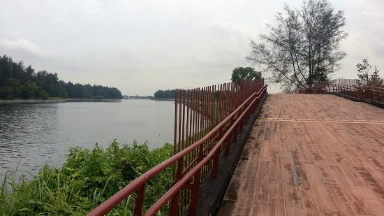 From the track to the trail, from the waterway, to the reservoir - Punggol has it all.