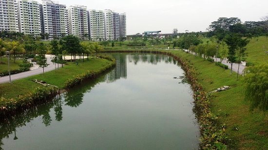 The Waterway, with a track along both sides, is a lovely place to walk, run or cycle.