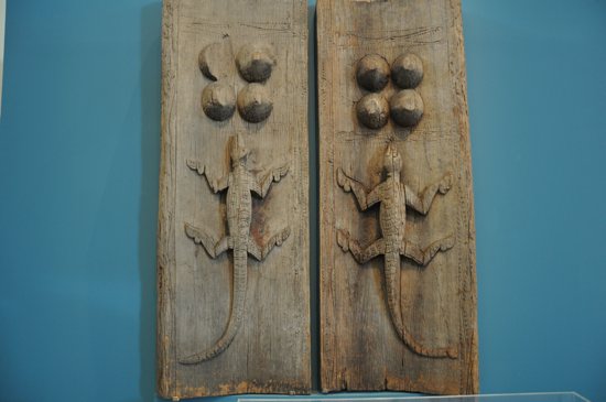 Geckos or Komodos?