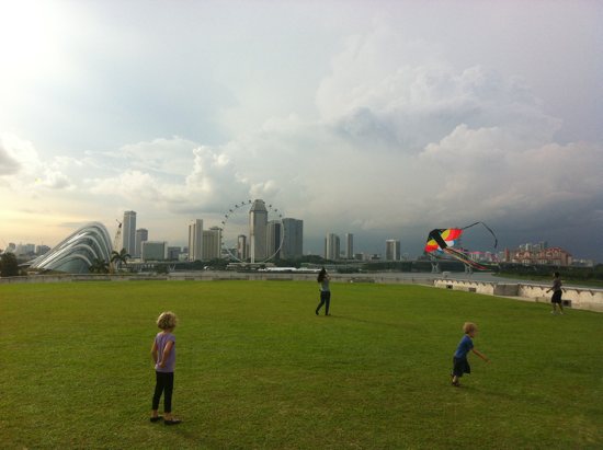 Go fly a kite.