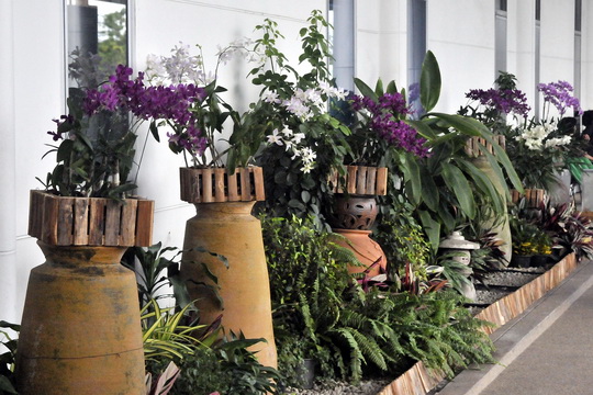 Who needs an orchid farm when you have CNX? Who needs an orchid farm when you have CNX?