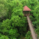 From boring plantlife researcher to exciting jungle adventurer in five minutes.