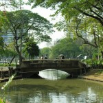 Lumpini Park: Keeping Bangkokians sane since 1920.