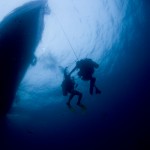 The Big Blue