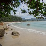 View from the beach bar