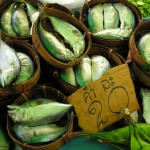 Fresh, gutted bla tuu at Mae Khlong market in Samut Songkhram.
