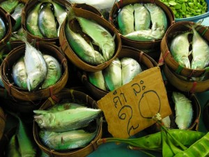 Fresh, gutted bla tuu in Samut Songkhram.