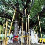 Mai kham sari at Wat Jet Yot