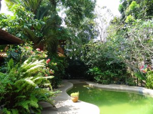 An inviting spot for a poolside pina colada.