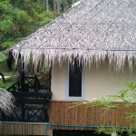 Simple but clean huts