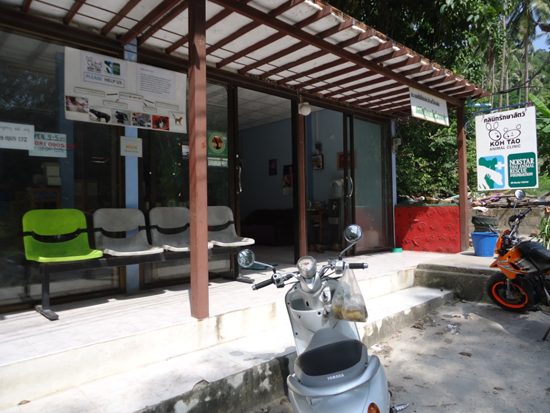 The Clinic