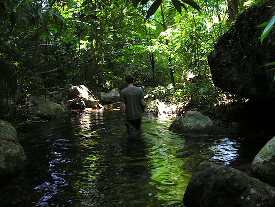 We're not in Bangkok anymore.