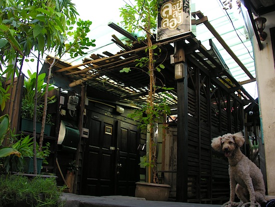 Got to love it when cute little dogs pose for our standard 'front of hotel' shot.