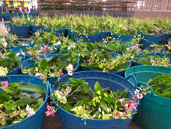 Ready for market.