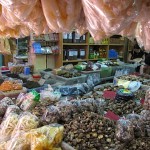 A bed of shiitake under a ceiling of fish maw.